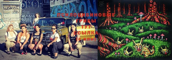 ECSTASY Горнозаводск