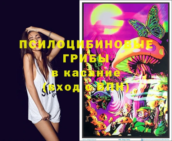 твердый Горно-Алтайск