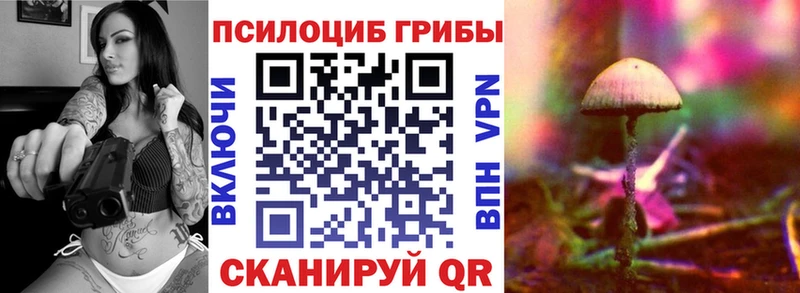 Псилоцибиновые грибы Psilocybine cubensis Чита